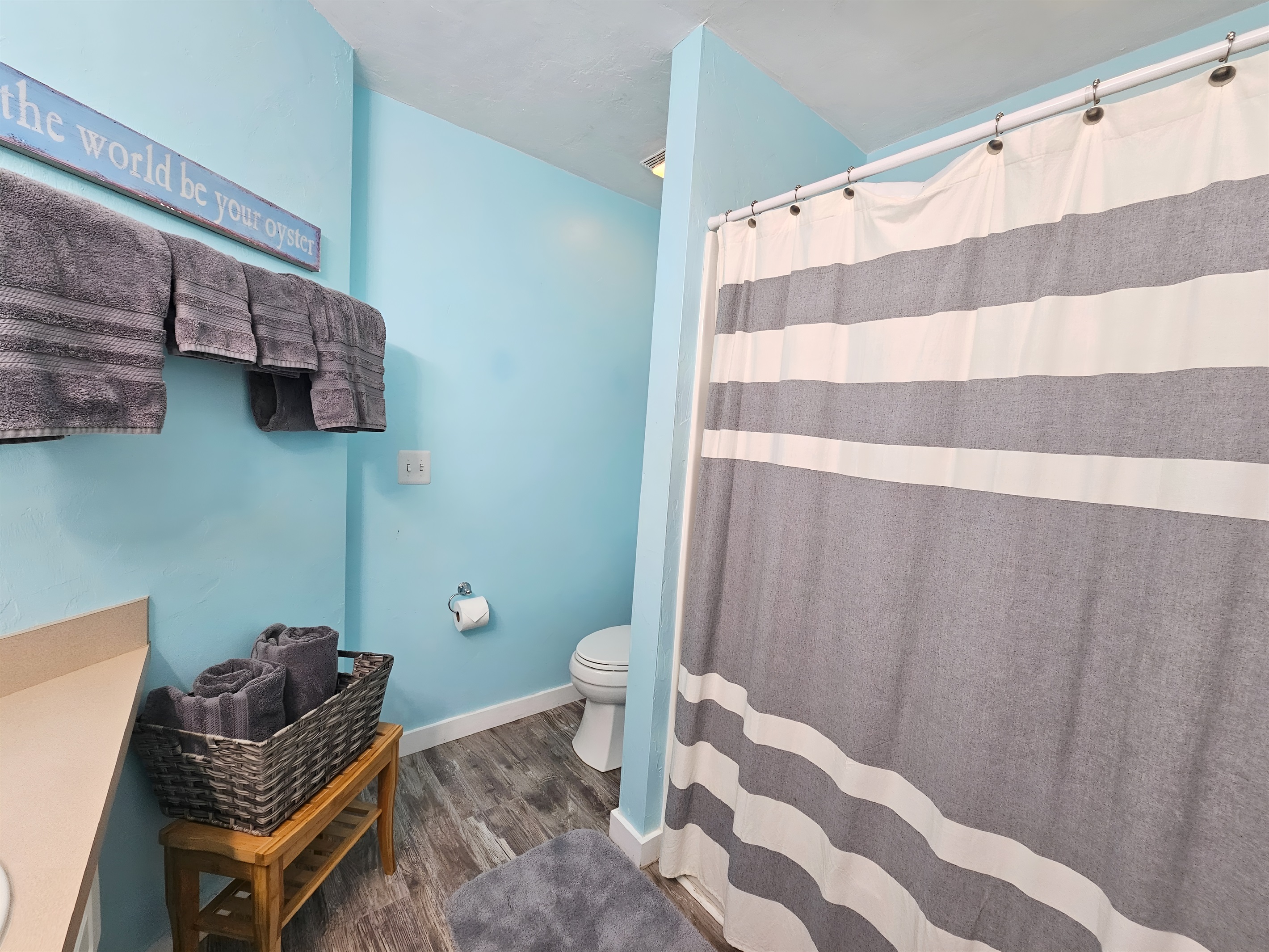 Shower/Tub in Master Bath