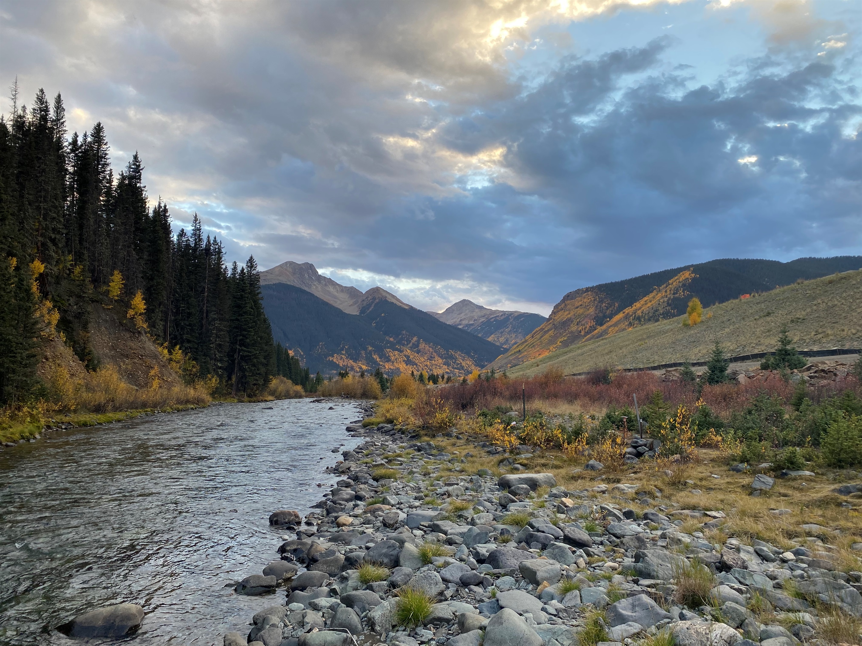 Upper Animas River near Silverton