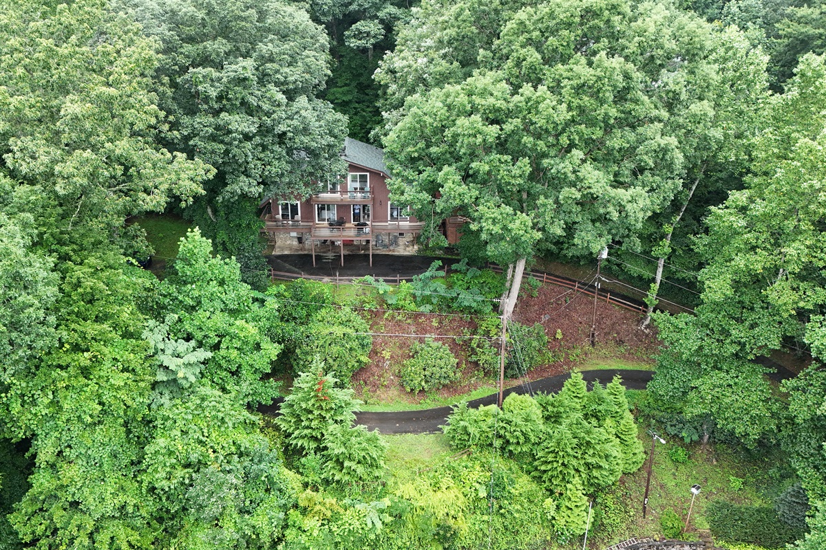 Exterior Retreat: Nestled in lush greenery, enjoy serene views and vibrant nature around you!
