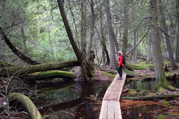 Immerse yourself in nature...just minutes from our home.