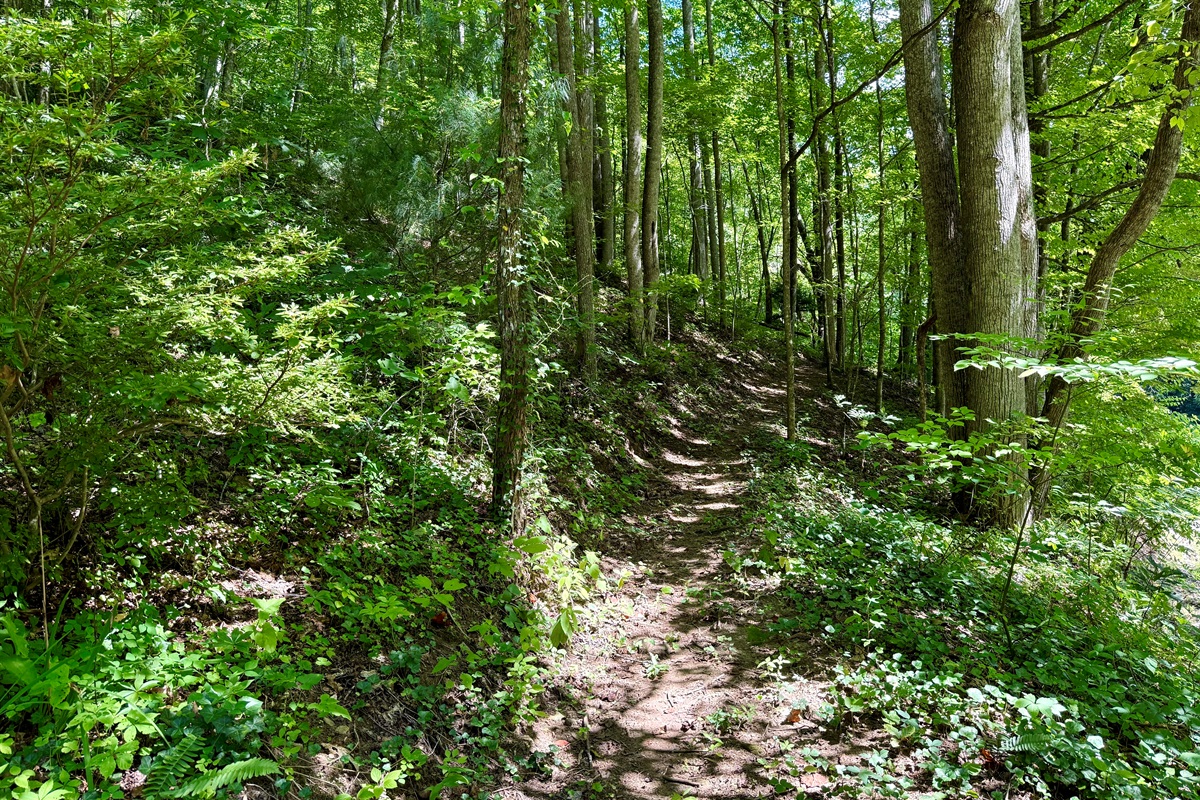 Hiking trails- Start here, see where it leads.