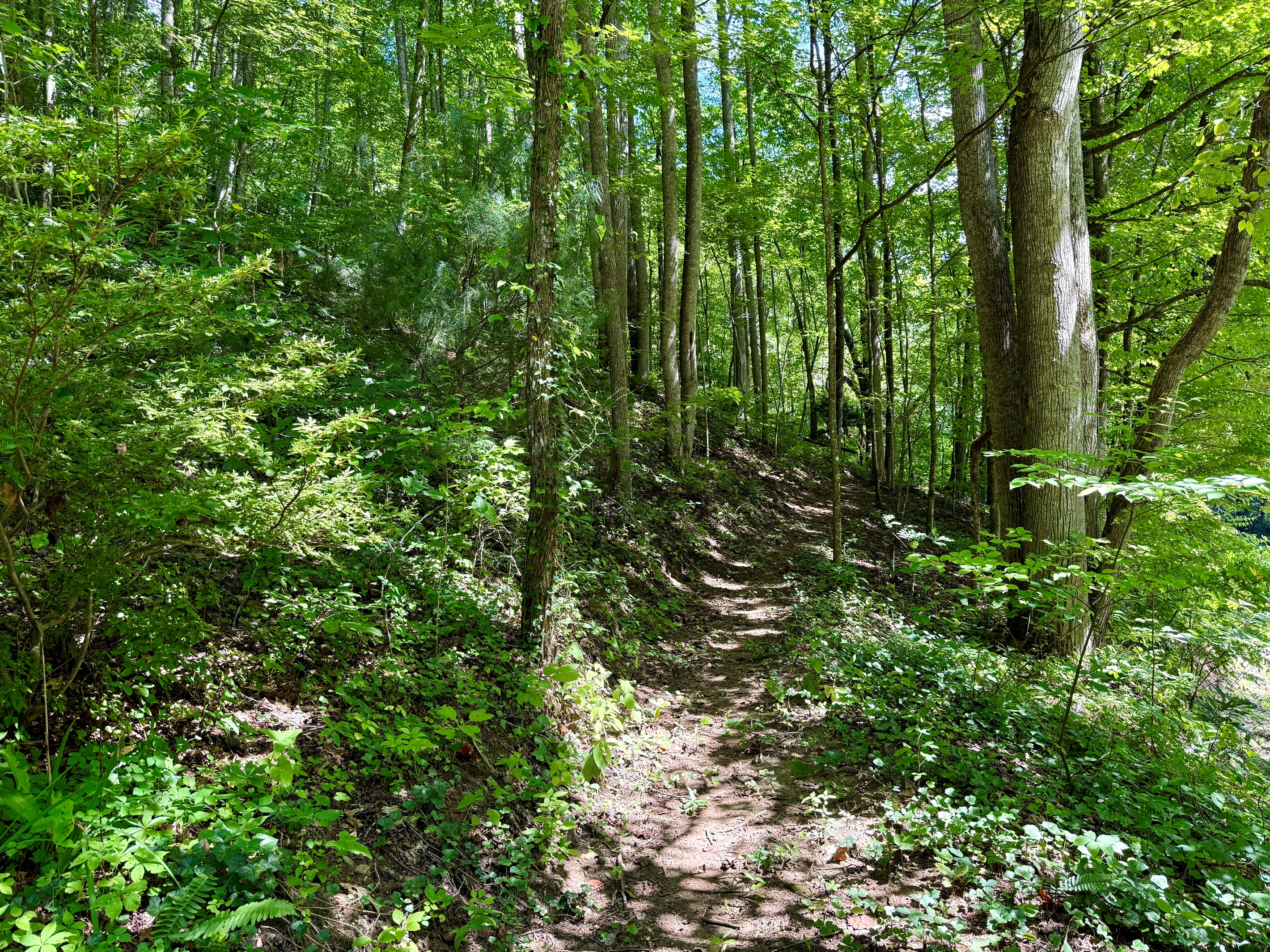 Hiking trails- Start here, see where it leads.