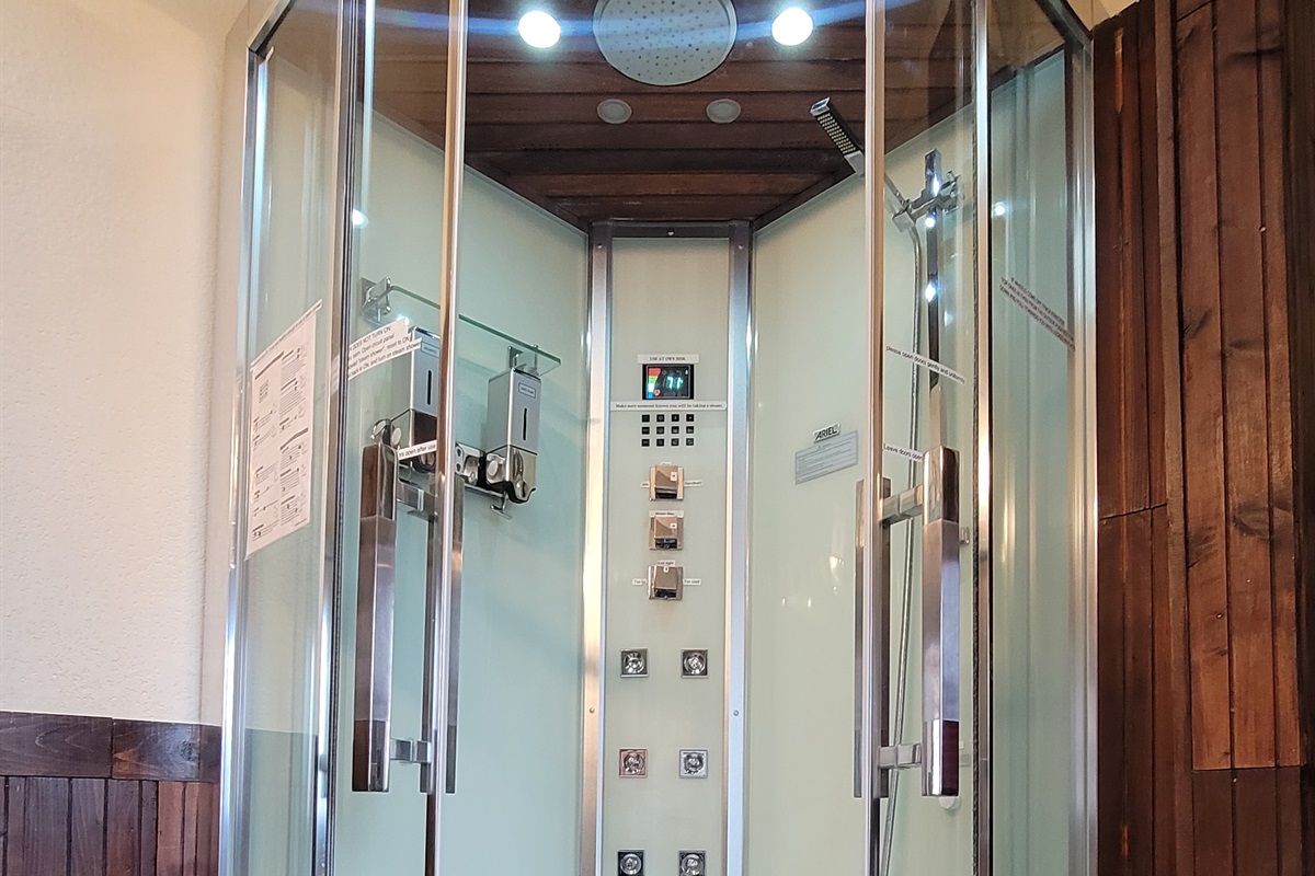 Steam shower with LED chromatherapy and stereo in the Master Suite