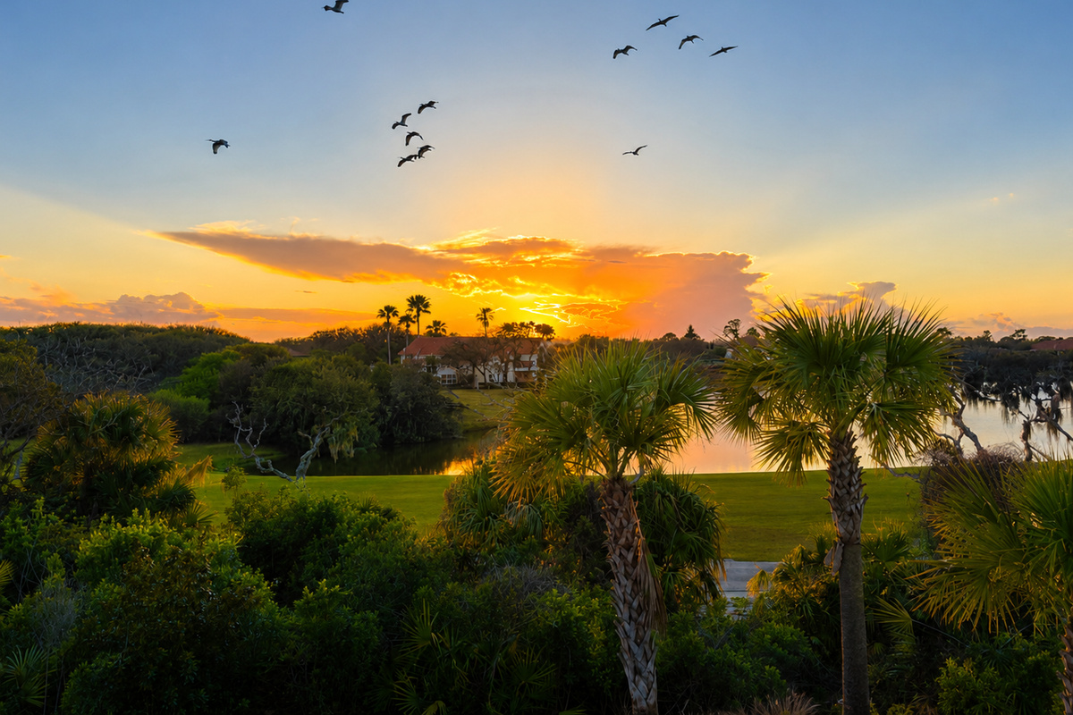 Each evening the sky performs, pelicans gliding home across a canvas of gold and rose. Gather the family, pause whatever you're doing, and simply watch. It's the kind of everyday wonder that reminds you exactly why you came to the coast.