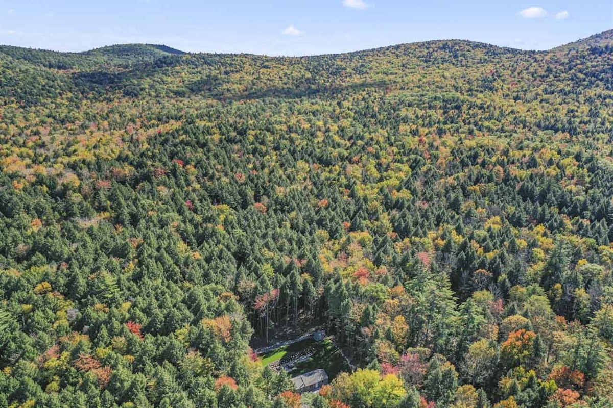 View of the miles of privacy from the backyard!