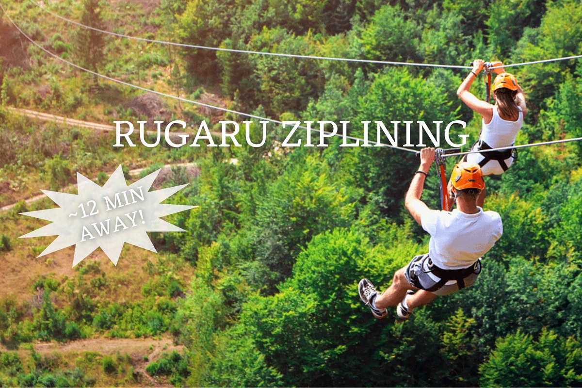 Soar through the treetops with Rugaru Ziplining—a thrilling way to take in the forest from above.
