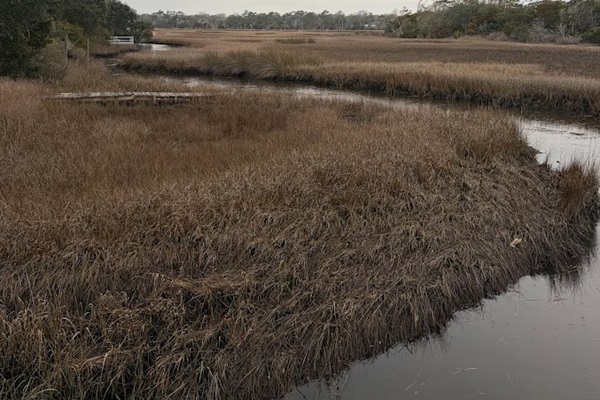 We're only a 5 minute walk from a bridge over the marsh and waterway. Even prettier in the summer under blue skies!