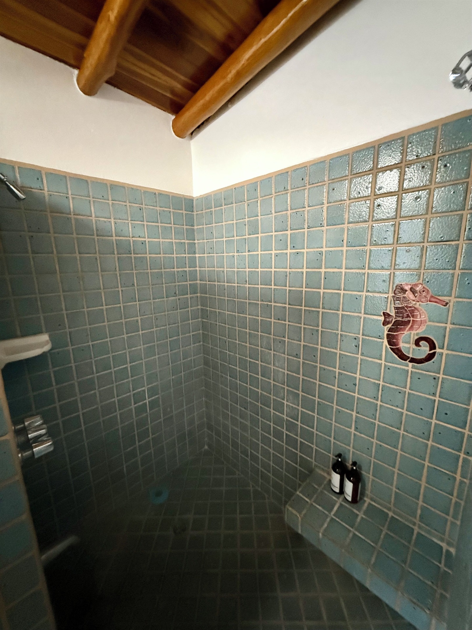 Shower in en suite bathroom 1 