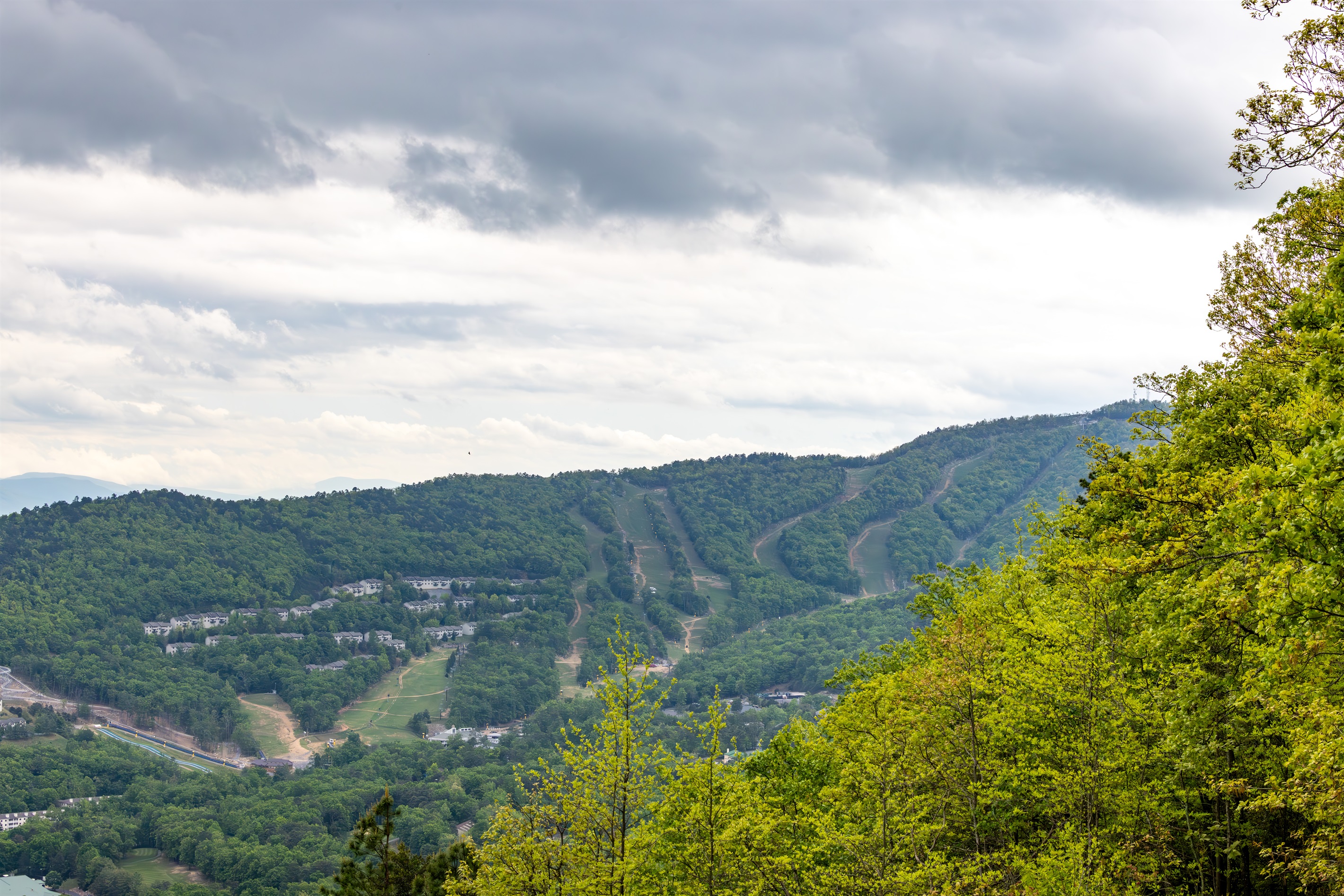 Ski Slopes in the summer