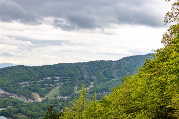 Ski Slopes in the summer