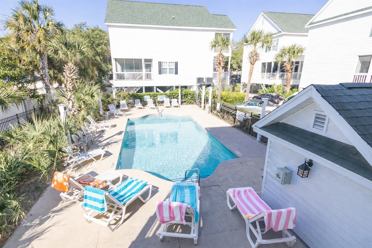 Sun, palms and a pool all to yourself! Welcome to Hola Beaches