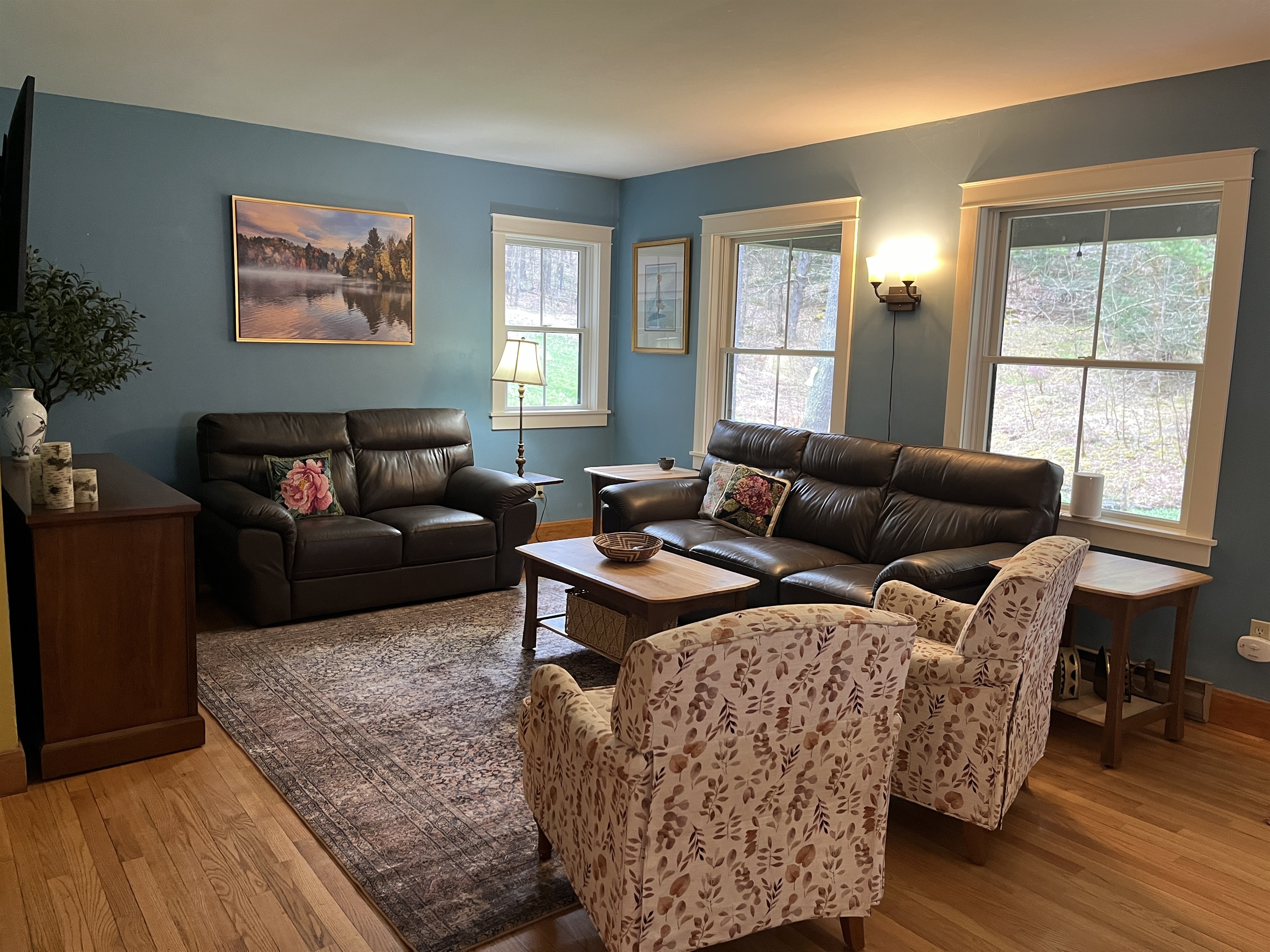 Comfy couches in the TV area