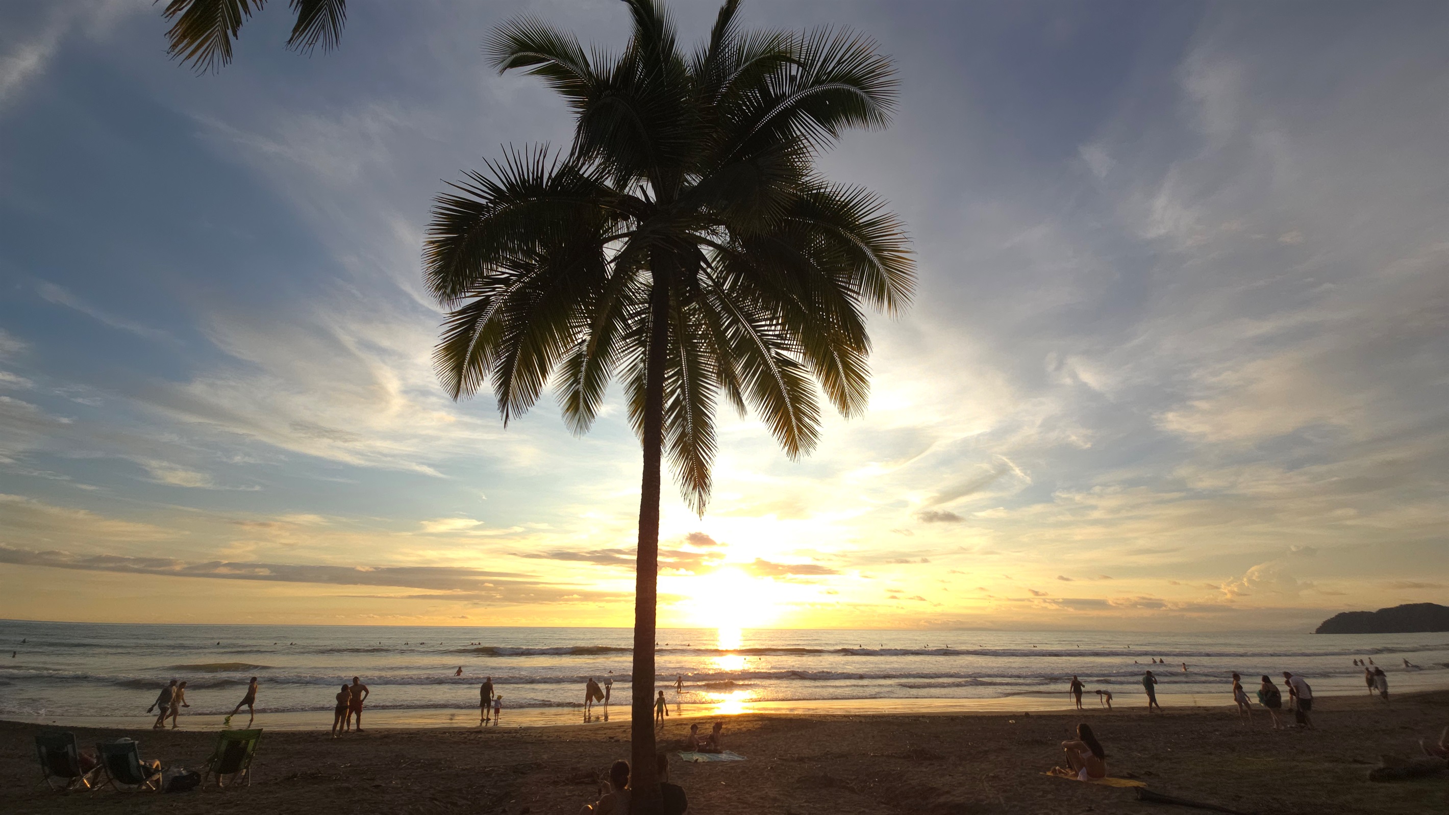 Beach Palm Jaco