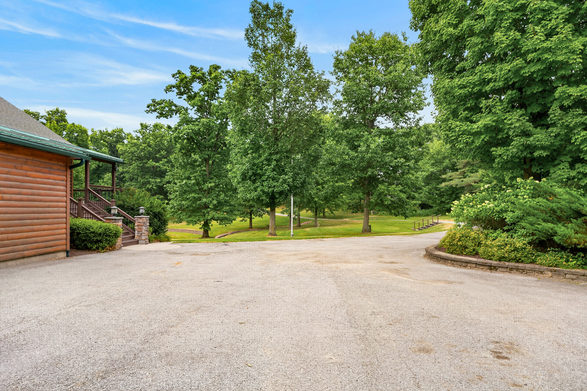 Driveway bordered by trees