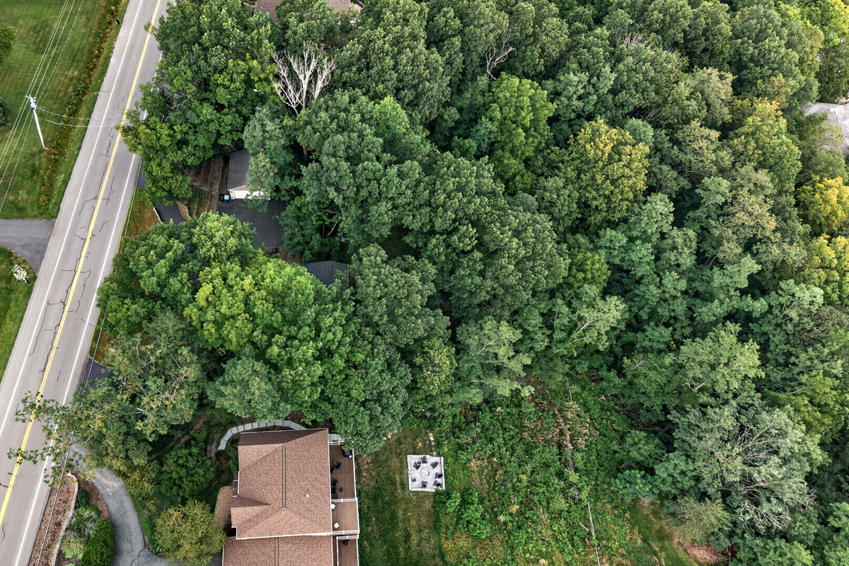 Home surrounded by mature tree cover