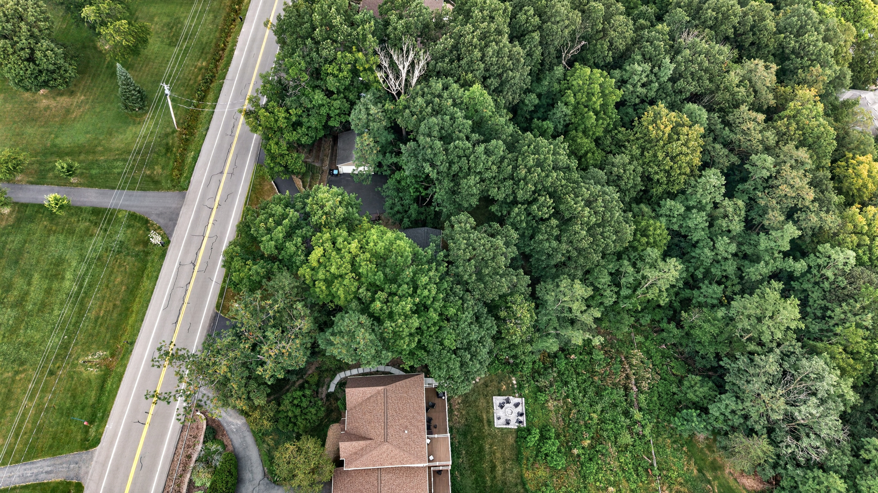 Home surrounded by mature tree cover