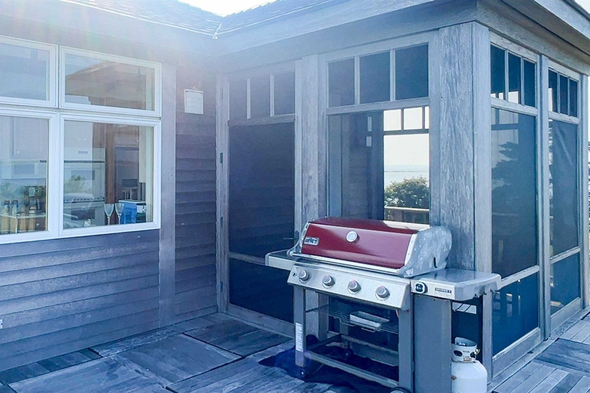 Grill outside of kitchen