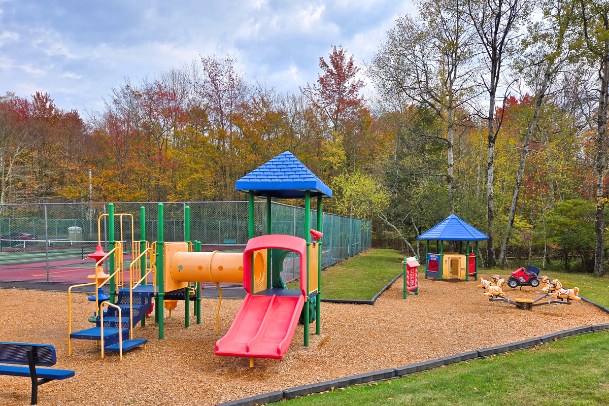 Community amenity (some are seasonal) - Arrowhead Lake - Serhii Vacation Rentals