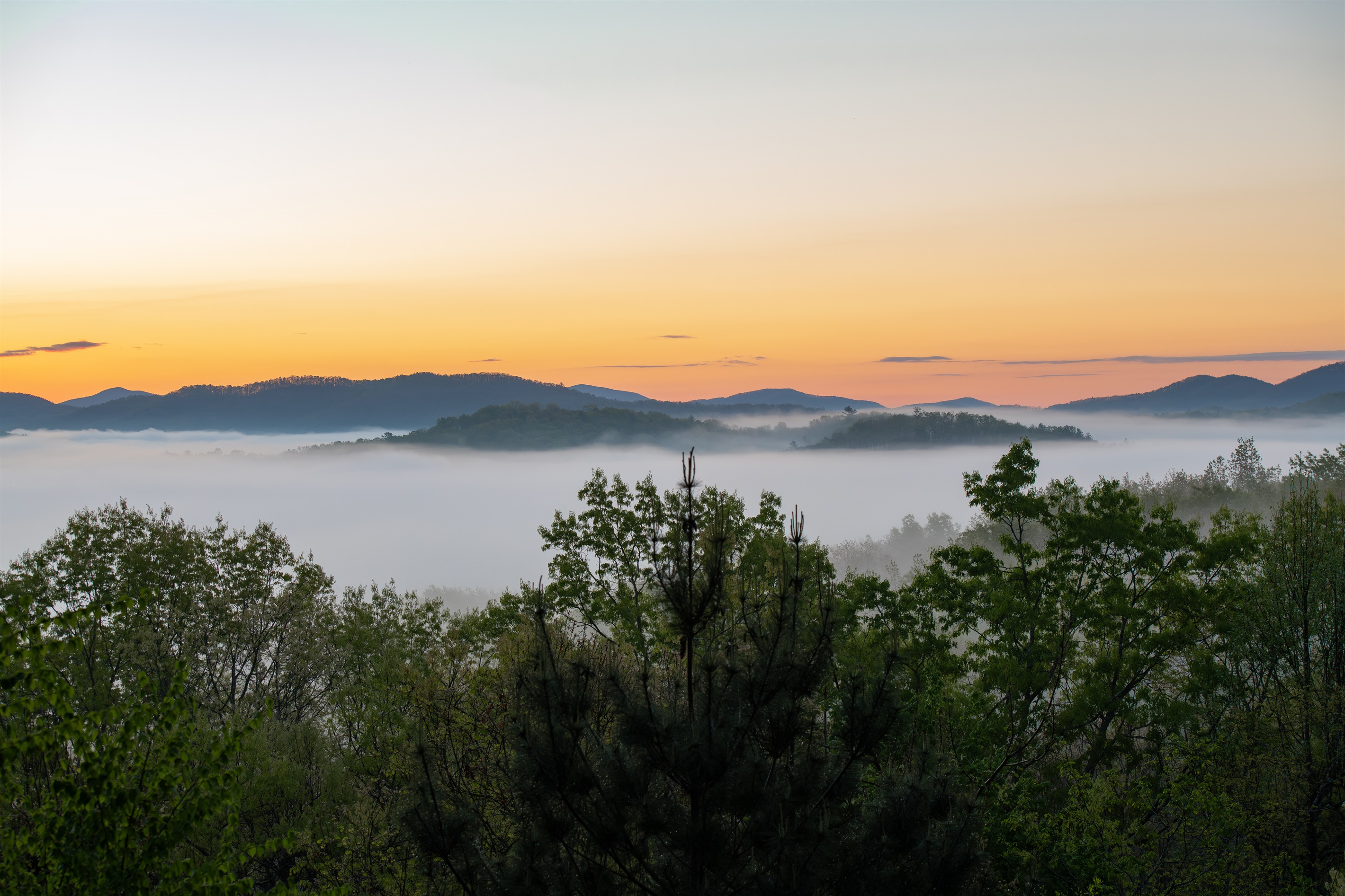 Upper Balcony | Sunrise over the mountains with rolling fog