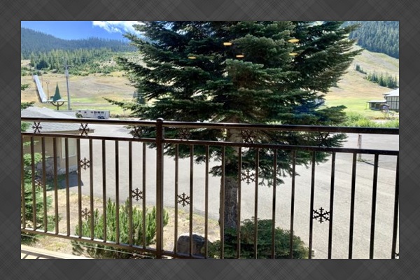 View from living room