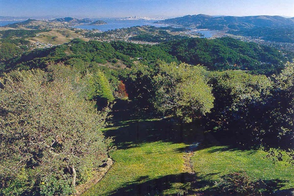 Hillside view of nature stretching across the valley