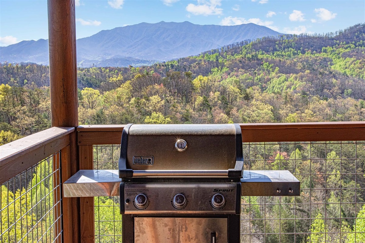 Don't burn the food while staring at Mt. LeConte!