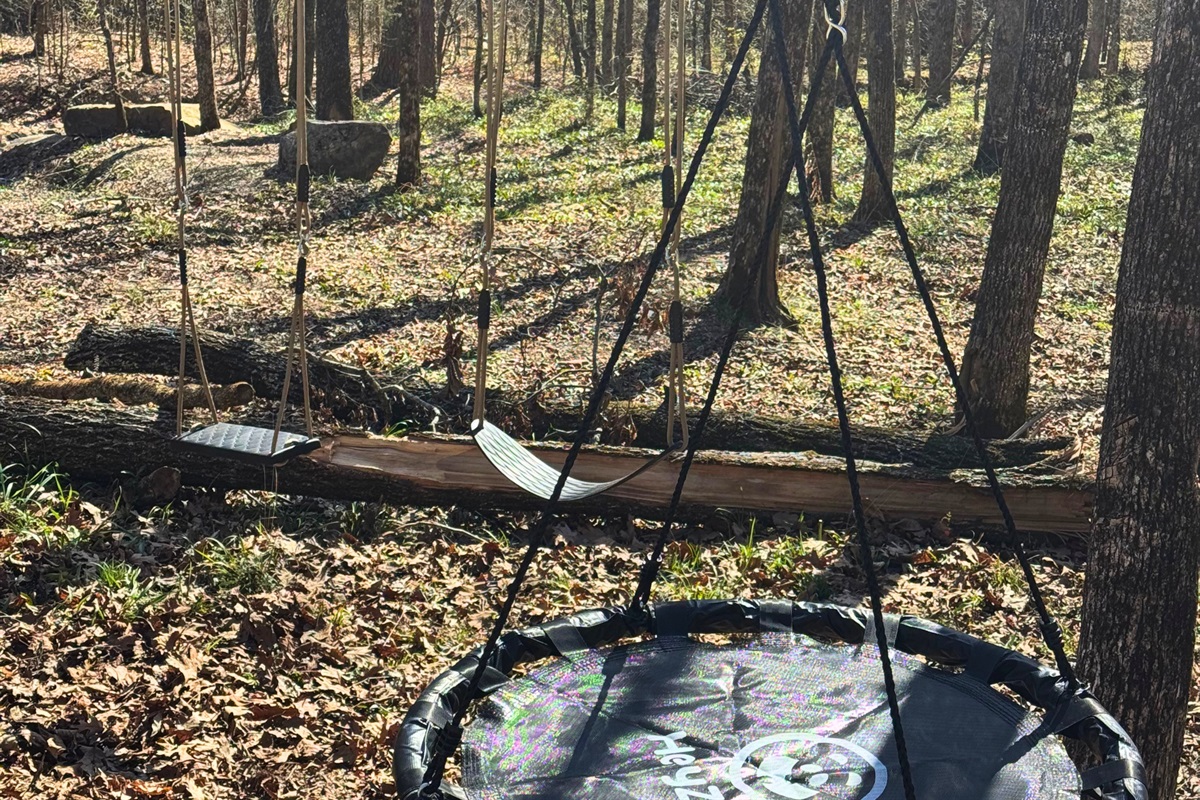 Newly added swings!