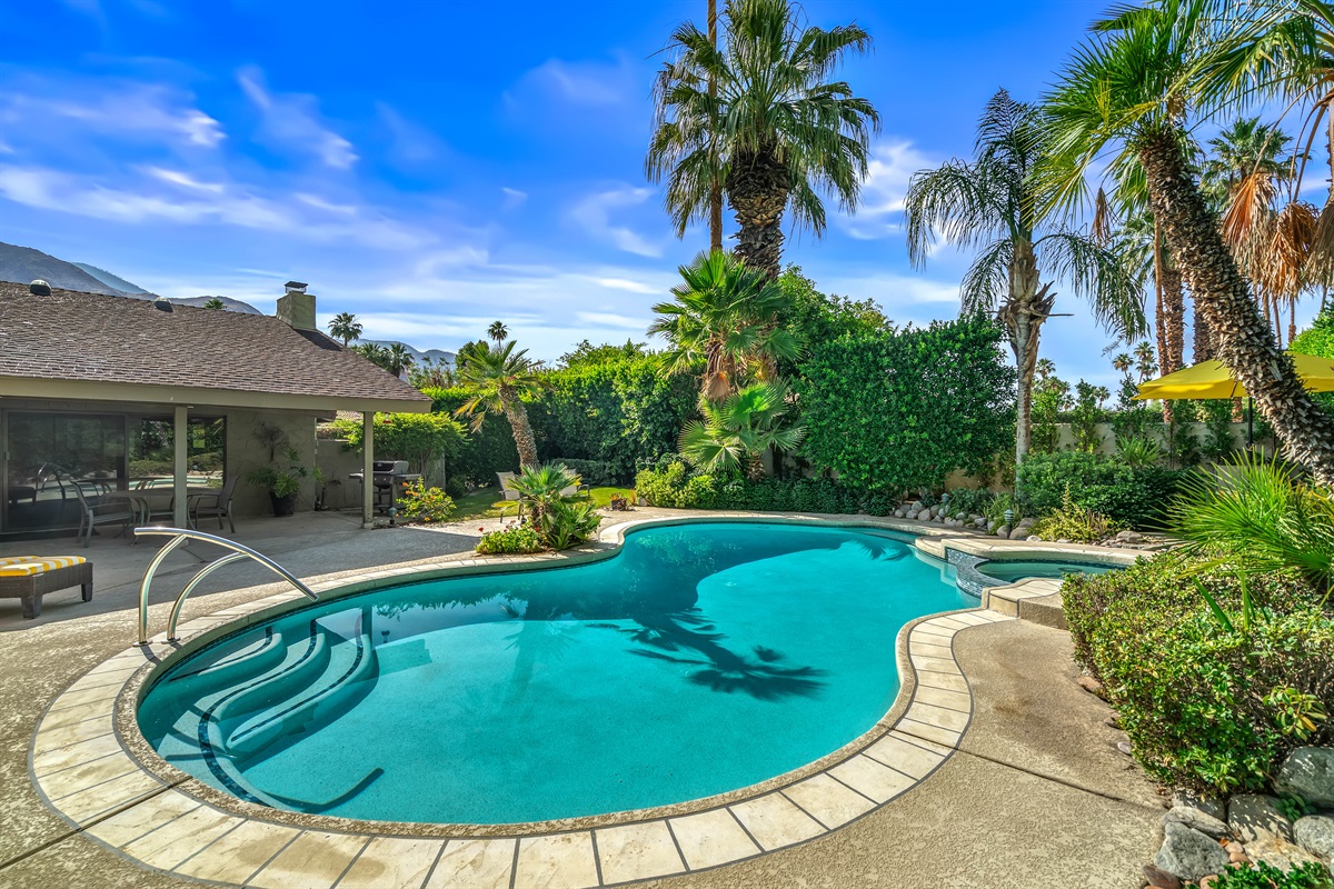 palm springs living