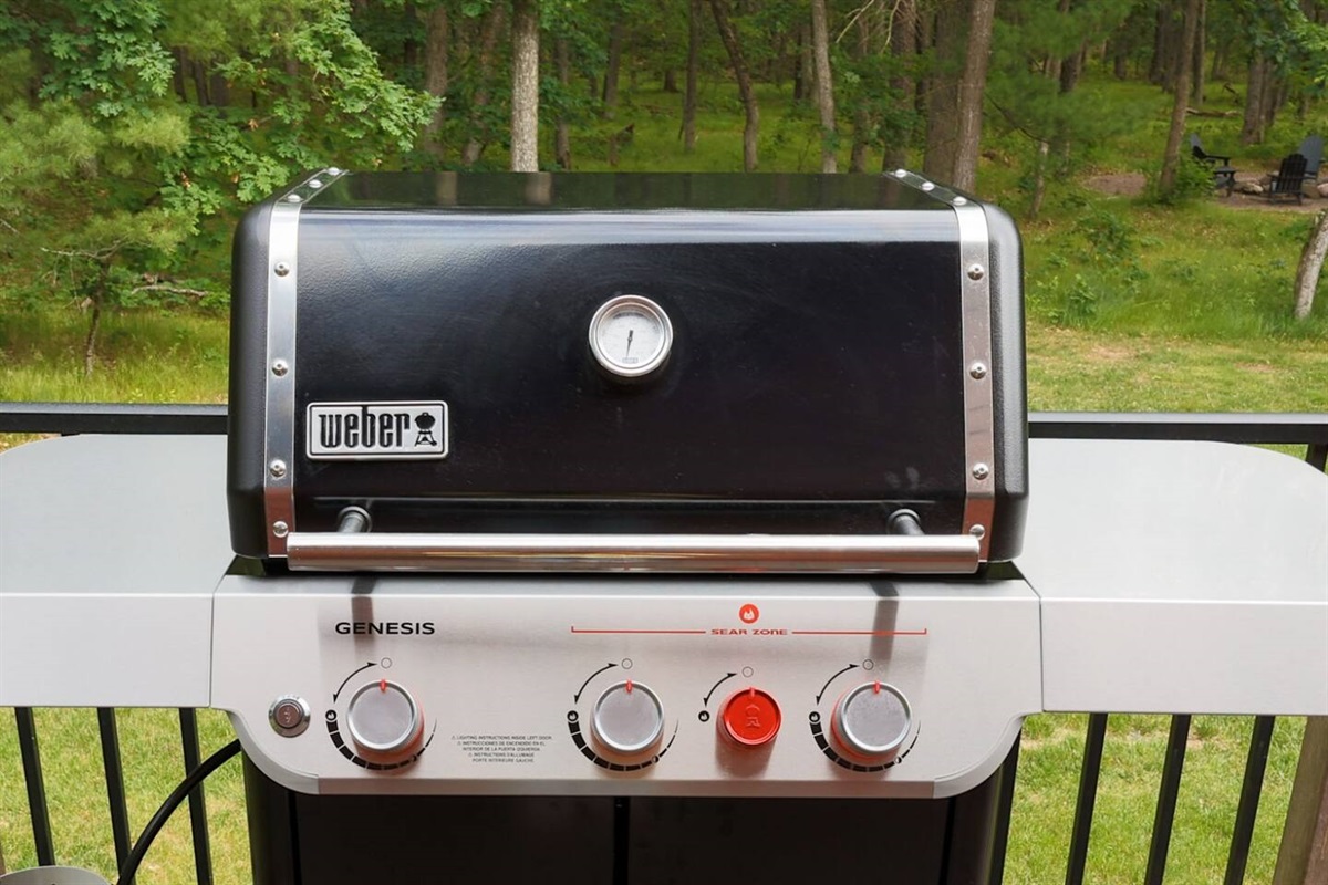 Gas Grill