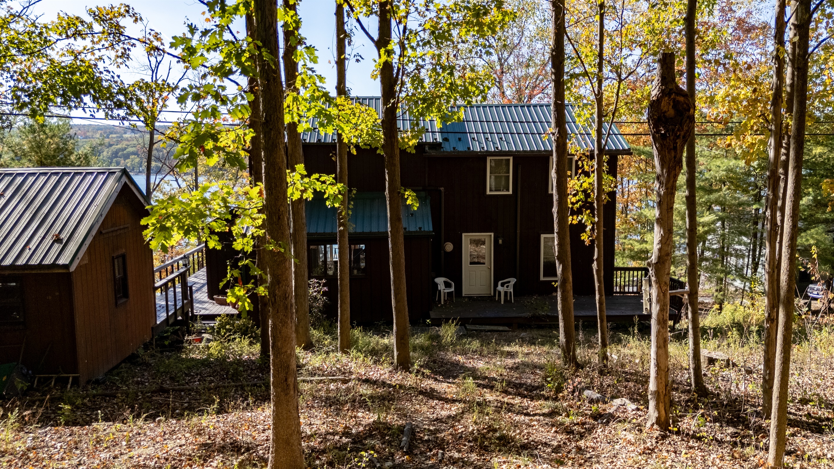 Side exterior of cabin with wooded lot surrounding — complete privacy.