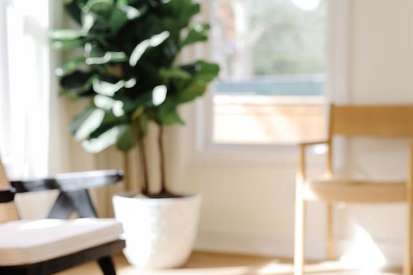 The light-filled living room features an oversized Floyd couch, a 70" smart TV and an open floor plan that flows seamlessly into the kitchen and dining areas. Great spot for hanging with a large group.