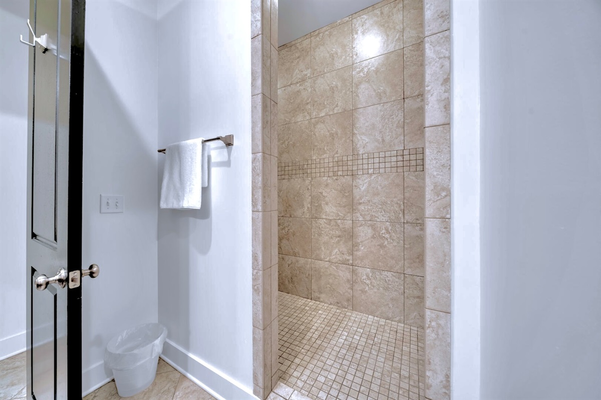 Master walk-in shower