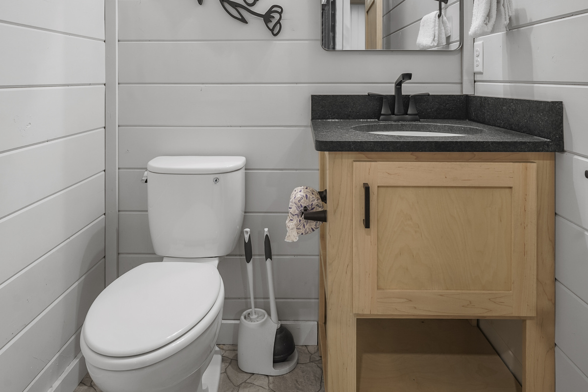 Bathroom 3 - toilet and vanity