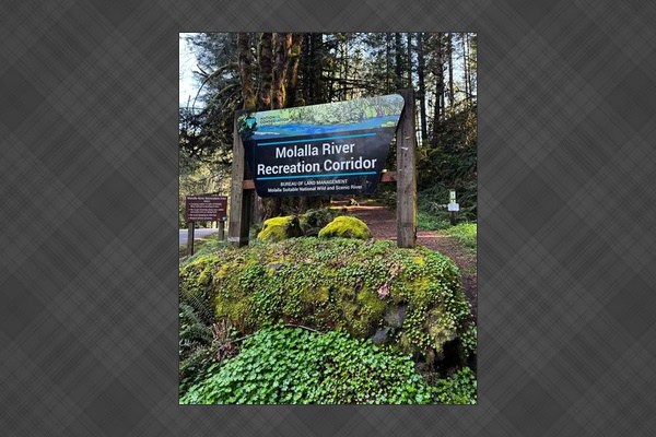 Hidden Haven: 4 bed | 2 bth — Hidden Haven | Made for Families + Outdoor Retreat, Molalla, Oregon — photo 70