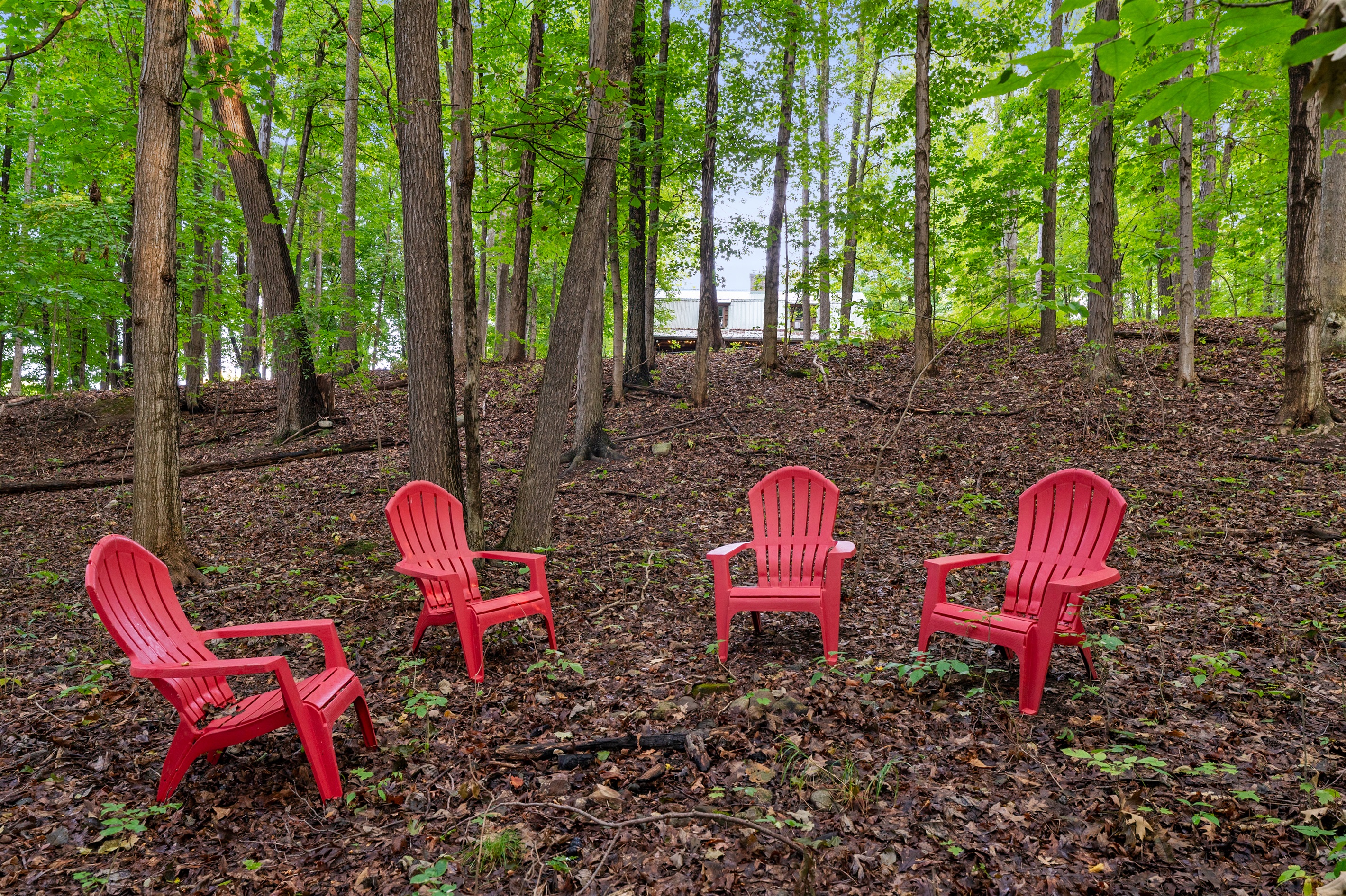 Share stories and drinks with friends surrounded by peaceful woods.