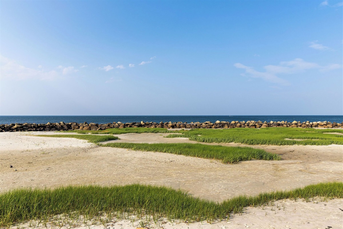 Nearby Corporation and Mayflower beaches are the most sought after on the Cape