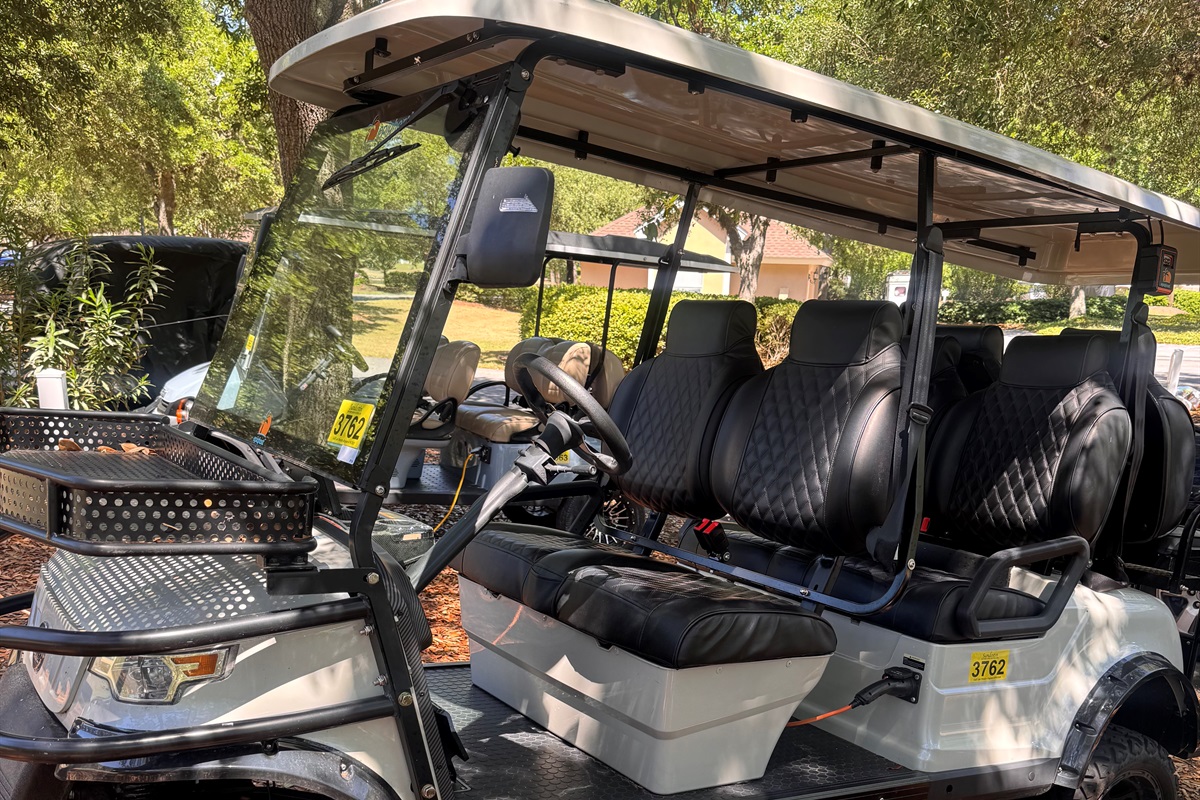 6 seater white/grey golf cart