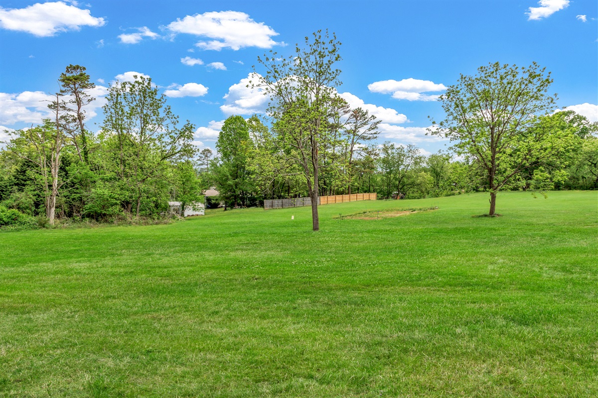 Backyard