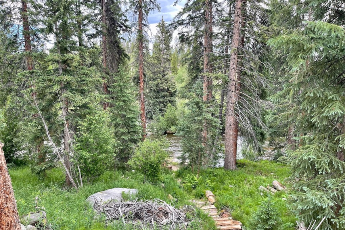 Stairs to the River