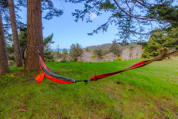 Hammock in the Trees