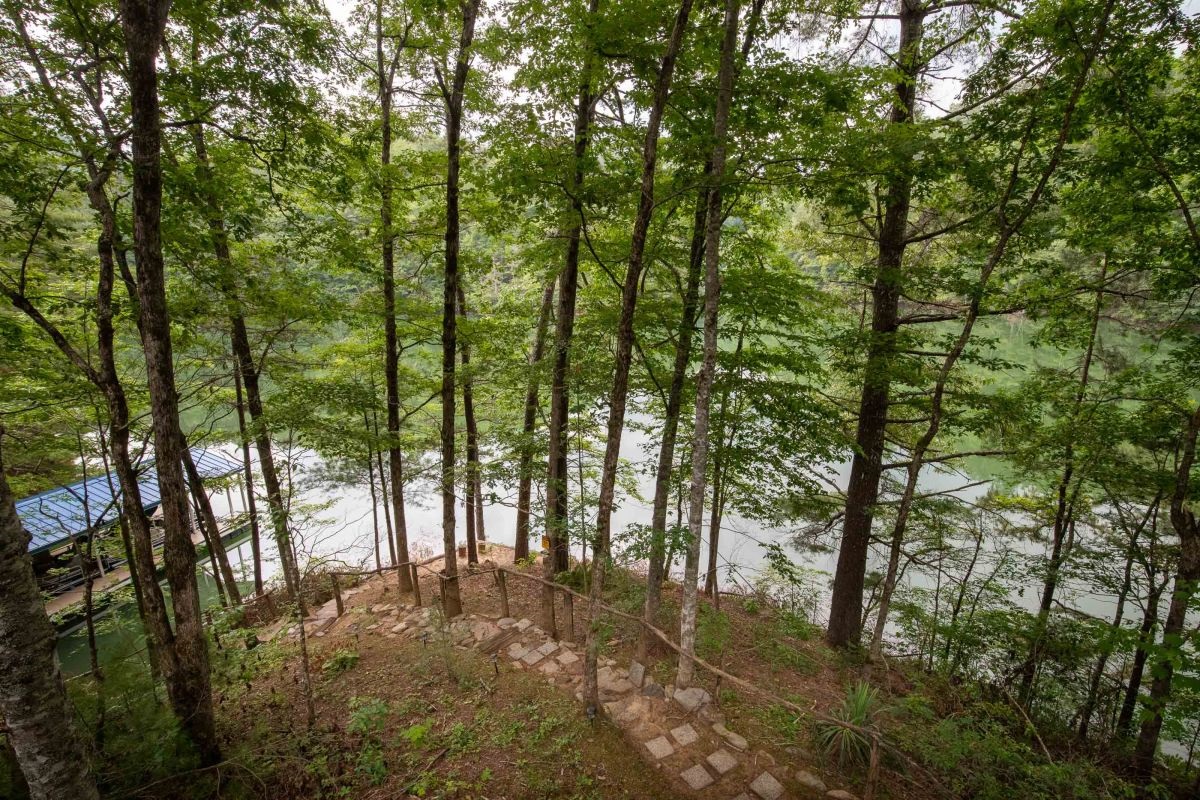 Scenic Retreat: Discover serene pathways leading to tranquil lake views among lush trees!

