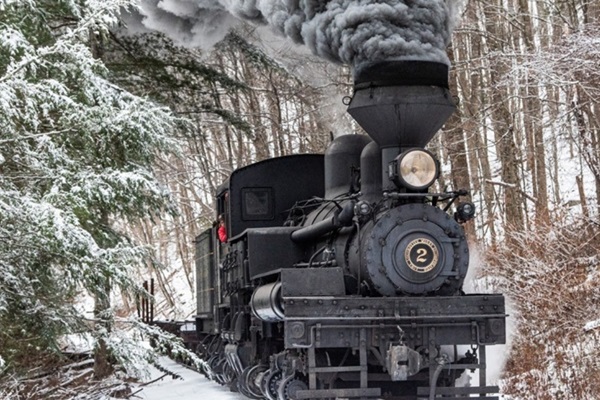 Create unforgettable memories with a scenic train ride through the snowy landscape!