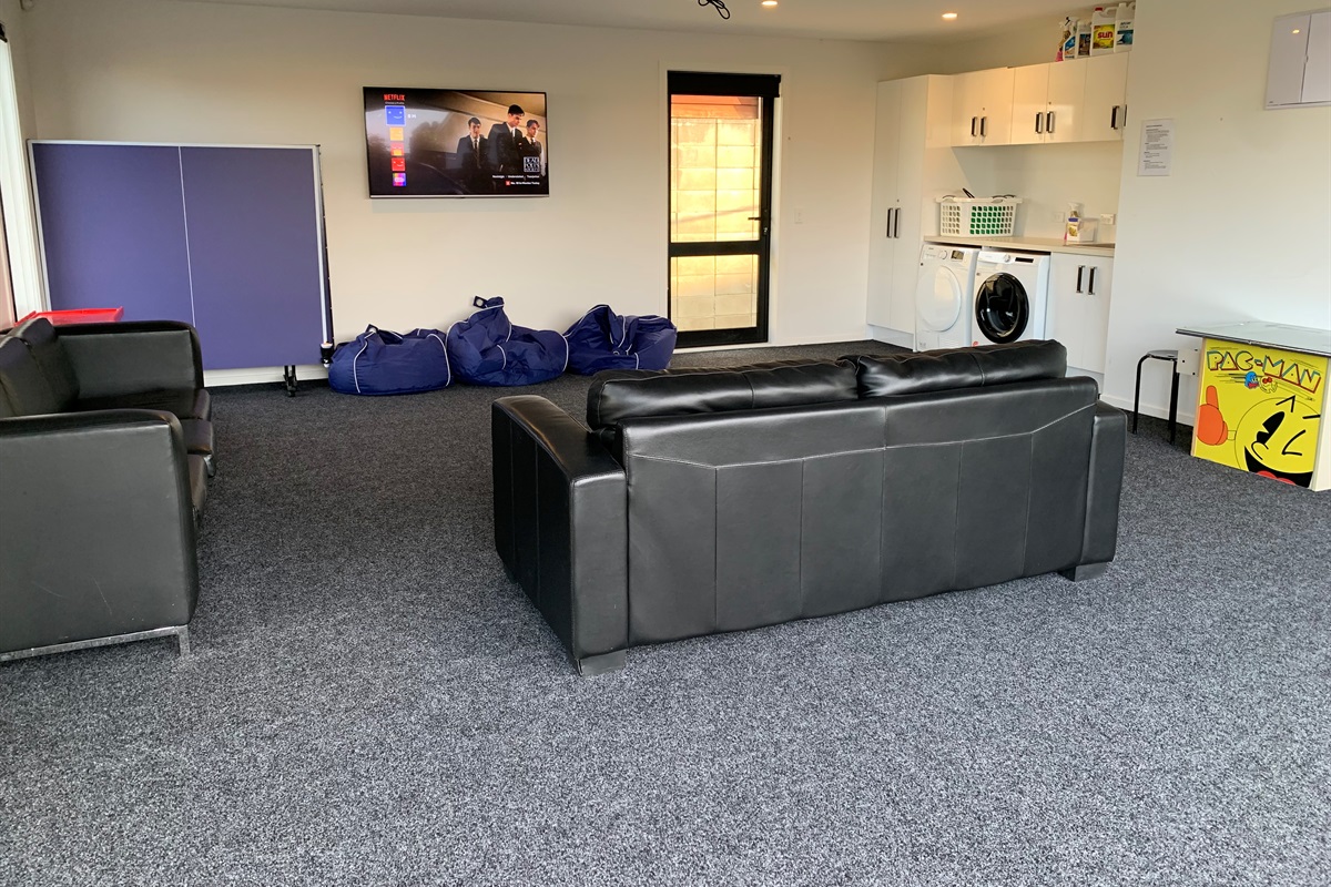 TV-Pullout Sofa Bed-couch-Heatpump-Carpet-Games and Toys