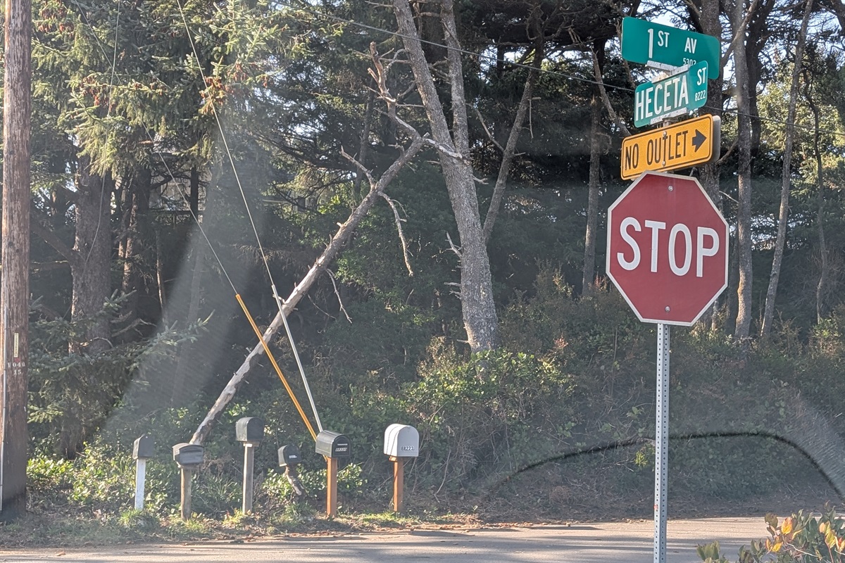 the bottom of the street