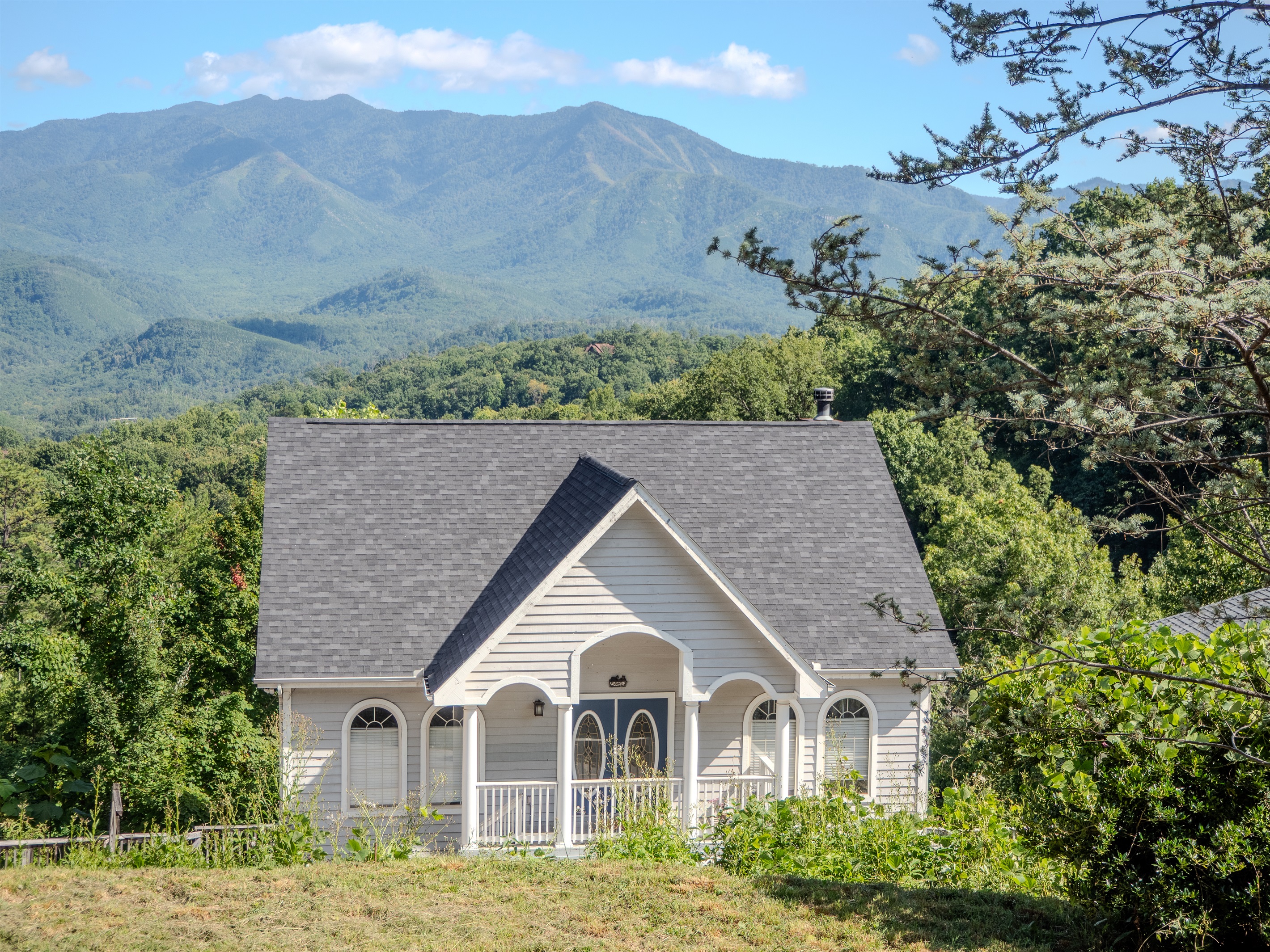 Mountainview Majesty and its beautiful backdrop