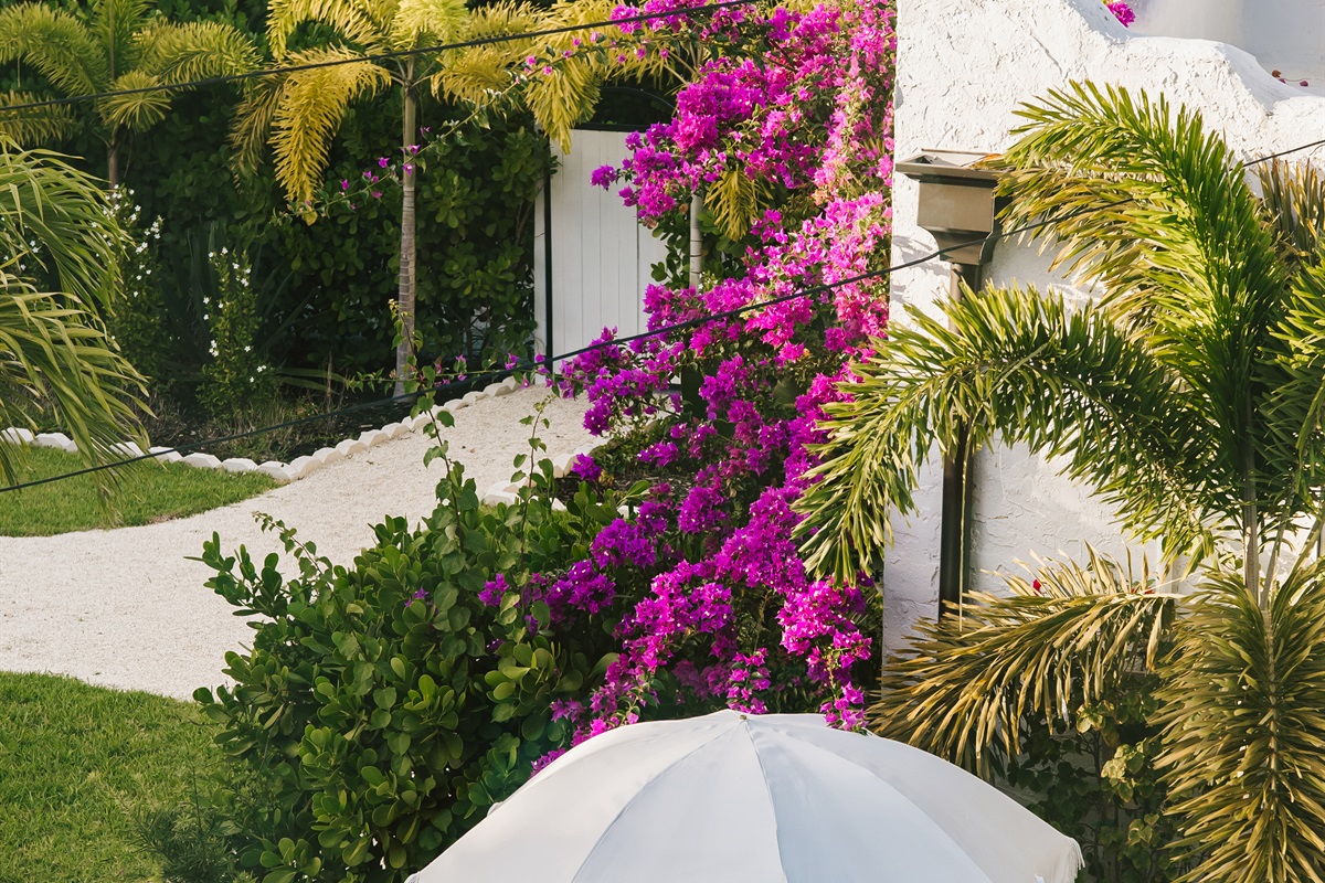 Enjoy the serene surroundings and lush plantings as you relax in our expansive garden patio.