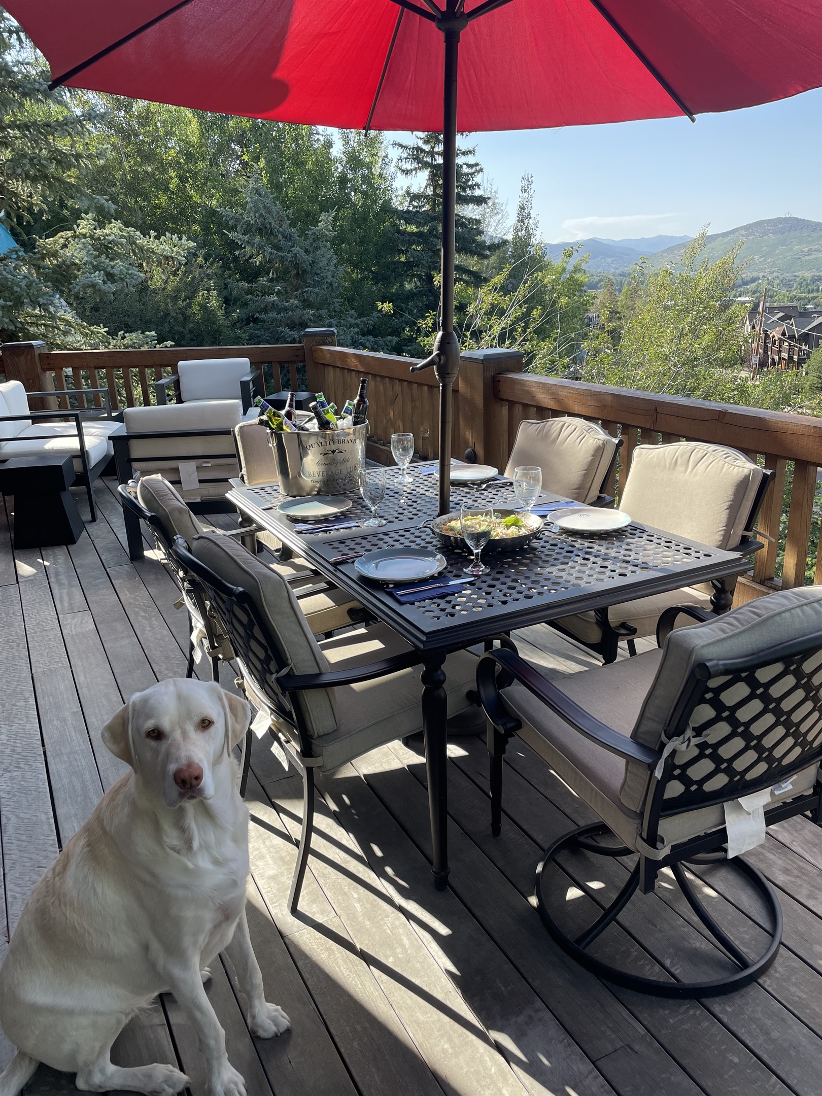 Perfect spot for al fresco dinners summer or winter thanks to standing heaters and gas fireplace