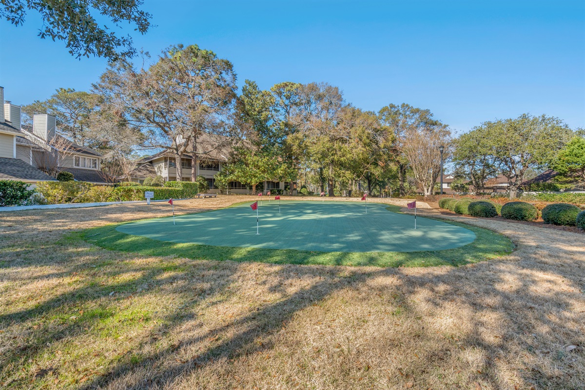 The Greens Putting Area