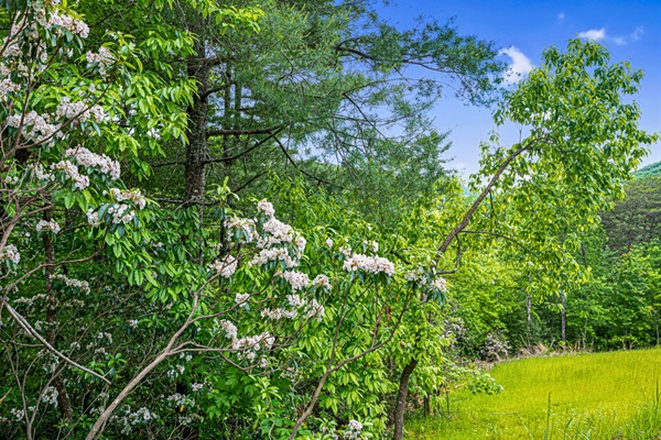 Step outside and discover a variety of outdoor amenities designed for relaxation and fun.