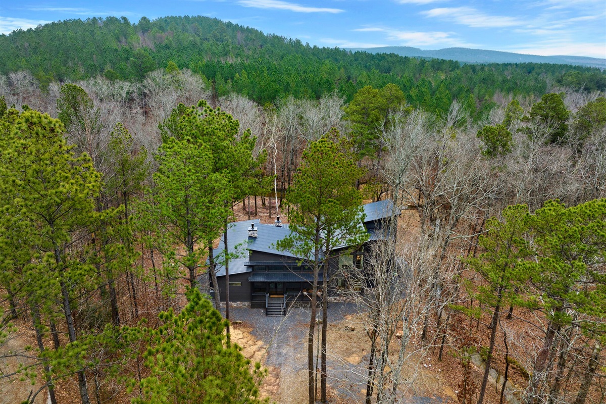 From above, you can see how peacefully the cabin is tucked into the forest.